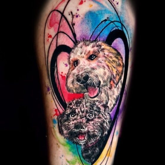 Getting my dog ​​tattooed in kansas city